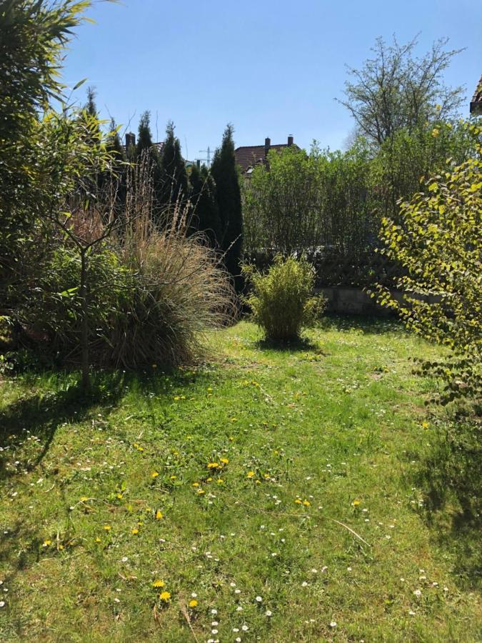 Sieben-Berge-Ferienwohnungen Alfeld  Exterior foto